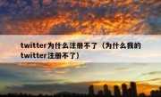 twitter为什么注册不了（为什么我的twitter注册不了）