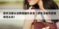 派币注册认证教程图片高清（派币注册出现错误怎么办）