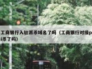 工商银行入驻派币域名了吗（工商银行对接pi币了吗）