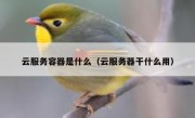 云服务容器是什么（云服务器干什么用）