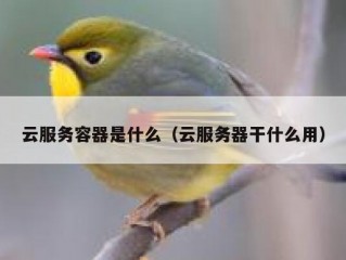 云服务容器是什么（云服务器干什么用）