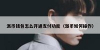派币钱包怎么开通支付功能（派币如何操作）