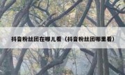 抖音粉丝团在哪儿看（抖音粉丝团哪里看）