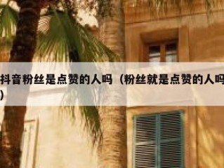抖音粉丝是点赞的人吗（粉丝就是点赞的人吗）