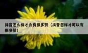 抖音怎么样才会有很多赞（抖音怎样才可以有很多赞）