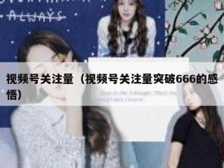 视频号关注量（视频号关注量突破666的感悟）