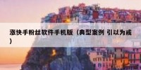 涨快手粉丝软件手机版（典型案例 引以为戒）