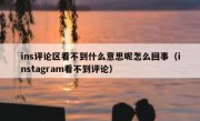 ins评论区看不到什么意思呢怎么回事（instagram看不到评论）