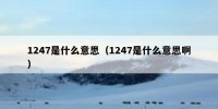 1247是什么意思（1247是什么意思啊）