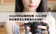 vivos30的云服务在哪（vivo手机的云服务怎么用都有什么功能）