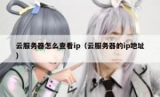 云服务器怎么查看ip（云服务器的ip地址）