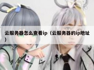 云服务器怎么查看ip（云服务器的ip地址）
