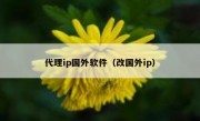 代理ip国外软件（改国外ip）