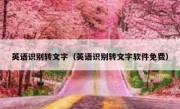 英语识别转文字（英语识别转文字软件免费）