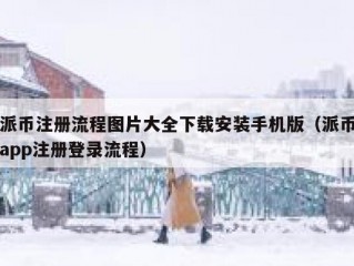 派币注册流程图片大全下载安装手机版（派币app注册登录流程）