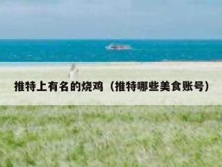 推特上有名的烧鸡（推特哪些美食账号）