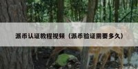 派币认证教程视频（派币验证需要多久）