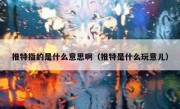 推特指的是什么意思啊（推特是什么玩意儿）