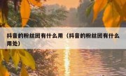 抖音的粉丝团有什么用（抖音的粉丝团有什么用处）