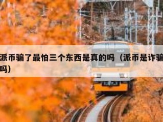 派币骗了最怕三个东西是真的吗（派币是诈骗吗）
