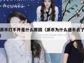 派币打不开是什么原因（派币为什么进不去了）