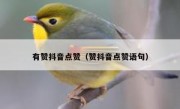有赞抖音点赞（赞抖音点赞语句）