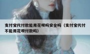 支付宝代付款能用花呗吗安全吗（支付宝代付不能用花呗付款吗）