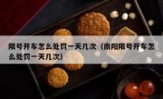 限号开车怎么处罚一天几次（南阳限号开车怎么处罚一天几次）
