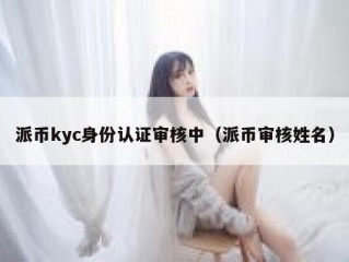 派币kyc身份认证审核中（派币审核姓名）