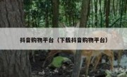 抖音购物平台（下载抖音购物平台）