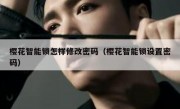 樱花智能锁怎样修改密码（樱花智能锁设置密码）