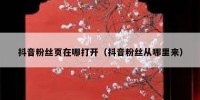 抖音粉丝页在哪打开（抖音粉丝从哪里来）