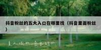 抖音粉丝的五大入口在哪里找（抖音里面粉丝）