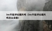 ins不能评论图片吗（ins不能评论图片吗怎么设置）