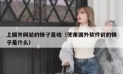 上国外网站的梯子是啥（使用国外软件说的梯子是什么）