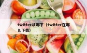 twitter从哪下（twitter在哪儿下载）