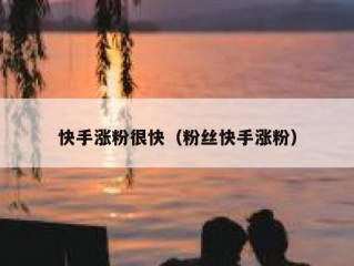 快手涨粉很快（粉丝快手涨粉）