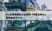 esc云服务器有什么用啊（阿里云的esc服务器能干什么）