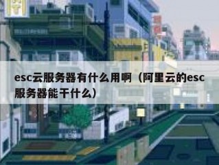 esc云服务器有什么用啊（阿里云的esc服务器能干什么）