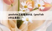 youtube上能看到什么（youTube什么意思）