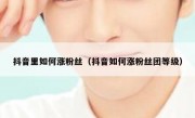 抖音里如何涨粉丝（抖音如何涨粉丝团等级）
