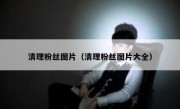 清理粉丝图片（清理粉丝图片大全）