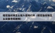 樱花指纹锁怎么输入密码打开（樱花指纹锁怎么设置密码视频）