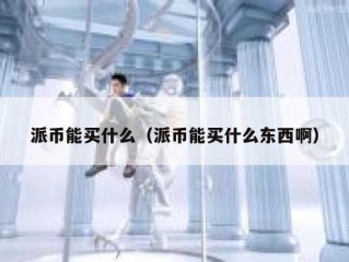 派币能买什么（派币能买什么东西啊）