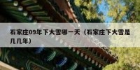 石家庄09年下大雪哪一天（石家庄下大雪是几几年）