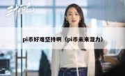 pi币好难坚持啊（pi币未来潜力）