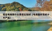 现在电商做什么类目比较好（电商最好卖的十大产品）