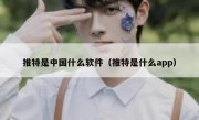 推特是中国什么软件（推特是什么app）