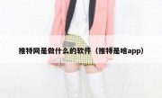 推特网是做什么的软件（推特是啥app）