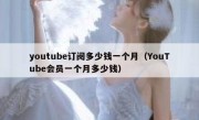 youtube订阅多少钱一个月（YouTube会员一个月多少钱）